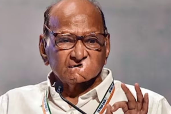thackeray brothers’ march gets ncp-sp support; mahayuti gears up for mlc polls