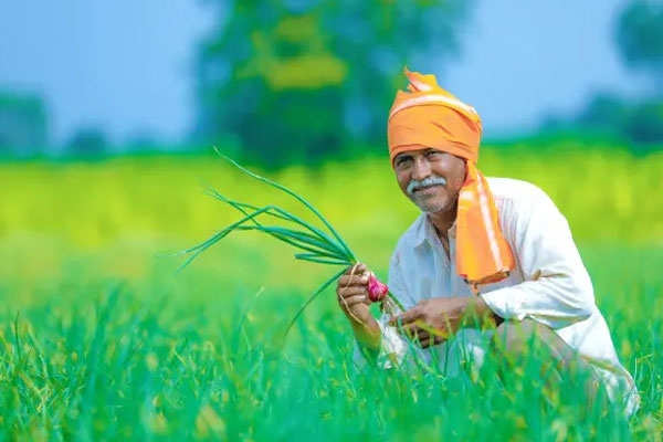 maharashtra farmer loan waiver 2026: rs 3161 crore released to 3.27 lakh farmers