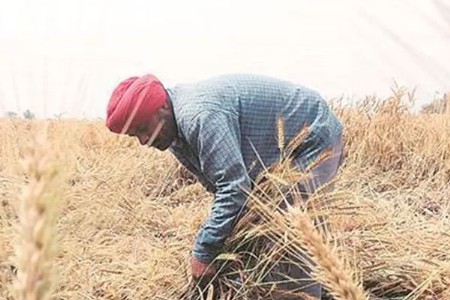 चिठ्ठी सोडून केली आत्महत्या 'दुष्काळाचे संकट गळद'