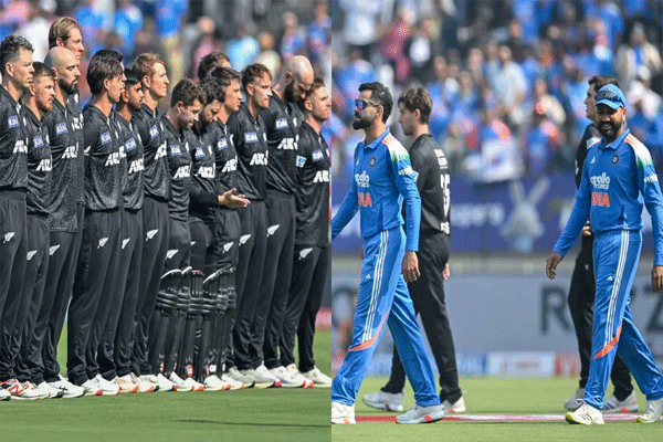 kiwis-jersey