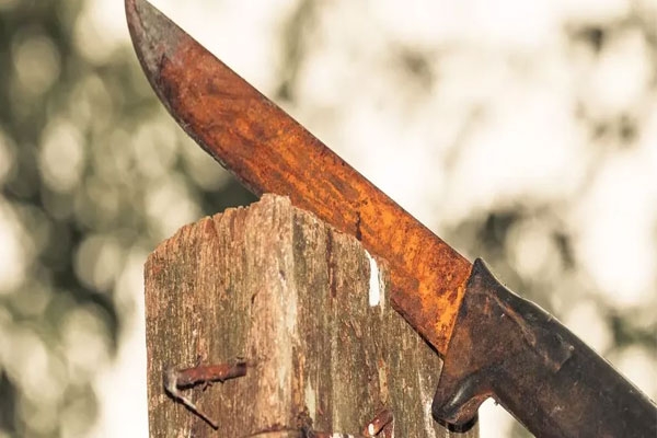 nagpur crime: man stabs sister with knife over wife leaving for her parents