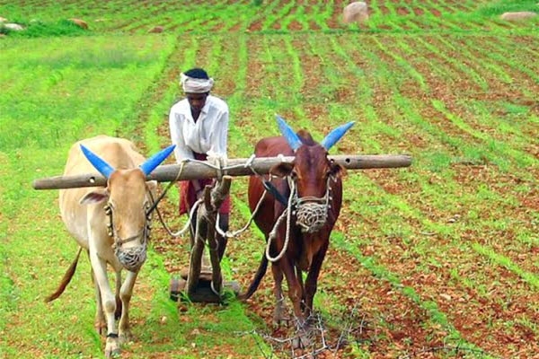 farmer loan waiver 2026, maharashtra karjmafi, third beneficiary list, farmer loan waiver scheme, maharashtra farmers, ahilyadevi holkar scheme, karjmafi yojana, aadhaar authentication, farmer benefits, government schemes, agriculture news, maharashtra news, nagpur news, farmer latest news