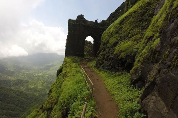 Rajgad Fort Pet Dog Stays by Owner’s Side After His Death in Pune