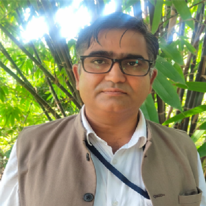 राखेच्या ढिगाऱ्यांवर फुलले हिरवे रान !