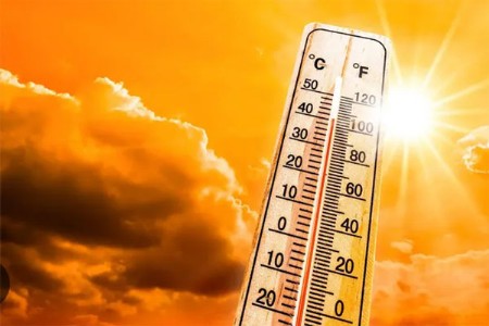 महाराष्ट्रात पहिल्यांदाच असं घडतंय, थंडी नव्हे येतेय उष्णतेची लाट
