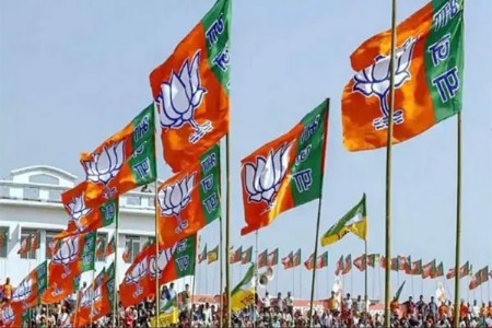 भाजप युवा मोर्चाच्या राष्ट्रीय संघटनेत महाराष्ट्राला तीन पदे