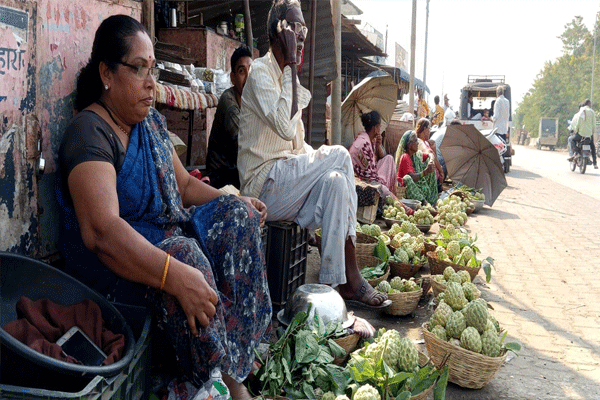 custard-apples-has-become-costlier