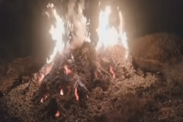 soybean-stack-catches-fire