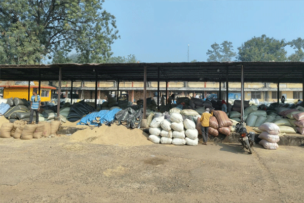 tiroda-agricultural-produce-market