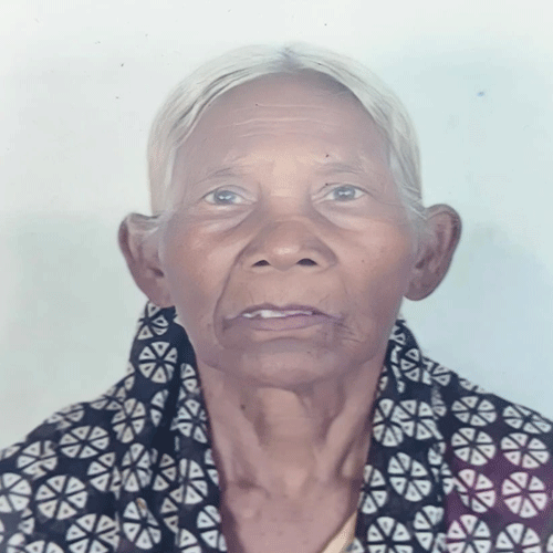 70-year-old-woman-killed-in-tiger-attack