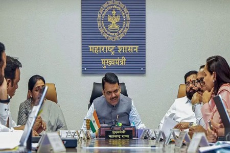 लाडकी बहीण योजनेनंतर आता एकल महिलांसाठी स्वतंत्र योजना