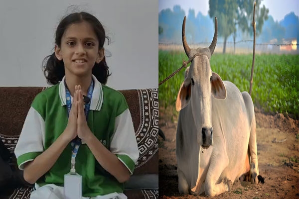 go-vigyan centre preserves indigenous cow heritage, rahinya gulhane impresses everyone