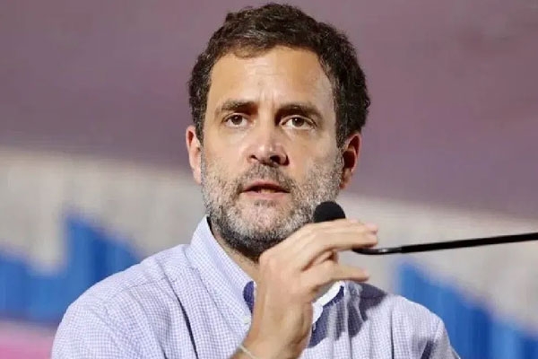 rahul gandhi convoy accident on purvanchal expressway, five cars and ambulance collide