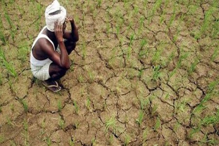 १३ जिल्हे दुष्काळग्रस्त घोषित
