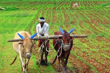 Maharashtra Farmer