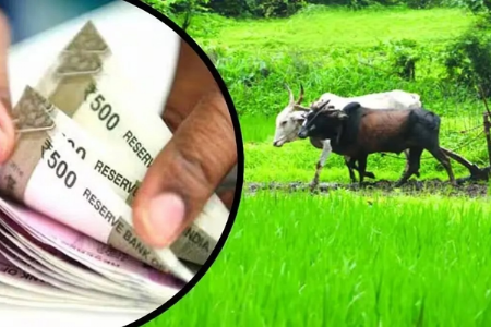 farmers in gondia