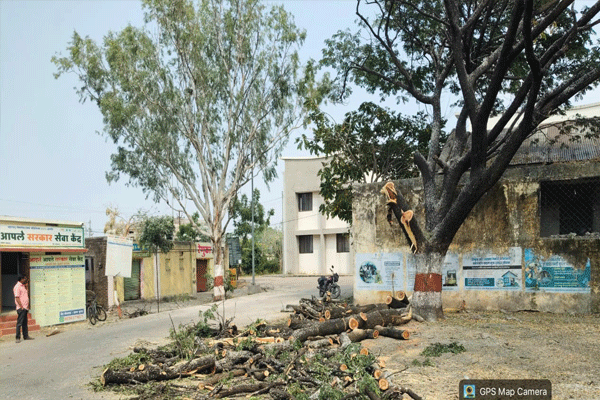 tehsil-office-premises