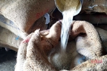 शालेय पोषण आहारातील तांदळाच्या गुणवत्तेवर प्रश्नचिन्ह