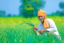 वर्धा जिल्ह्यातील २.३८ लाख शेतकऱ्यांना मिळणार पाच हजारांची अग्रीम मदत