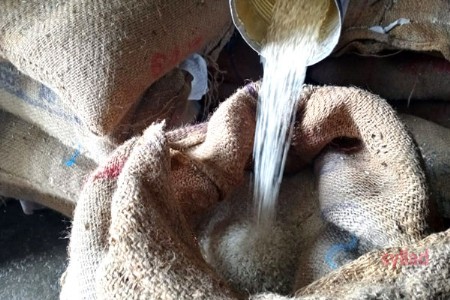 Mumbai Mid-Day Meal Rice Quality Row: Kishori Pednekar Demands Probe into Supply Chain