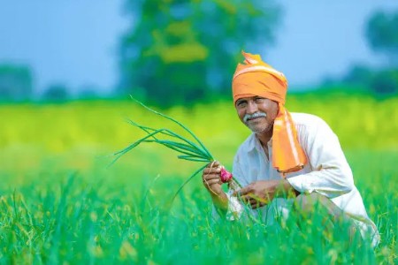 Wardha: 2.38 Lakh Farmers to Receive ₹5,000 Advance Relief Before Diwali