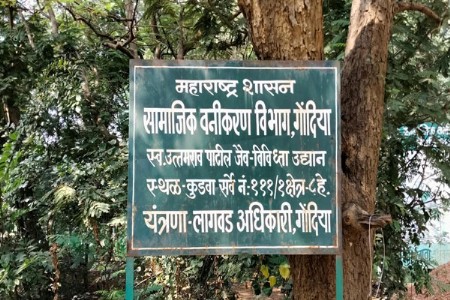 gondia kudwa biodiversity park questions raised over rs 4.30 crore development works