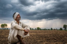 खरीप हातचा गेला..! आकाशात ढग, पण पाऊस नाही