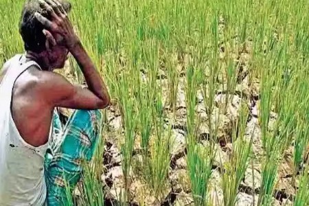 दुष्काळ, नापिकीच्या संकटात शेतकऱ्याची आत्महत्या