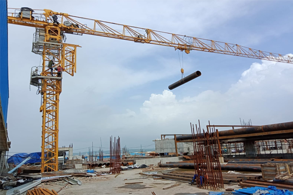 crane