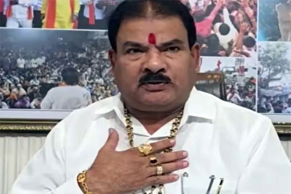 mla