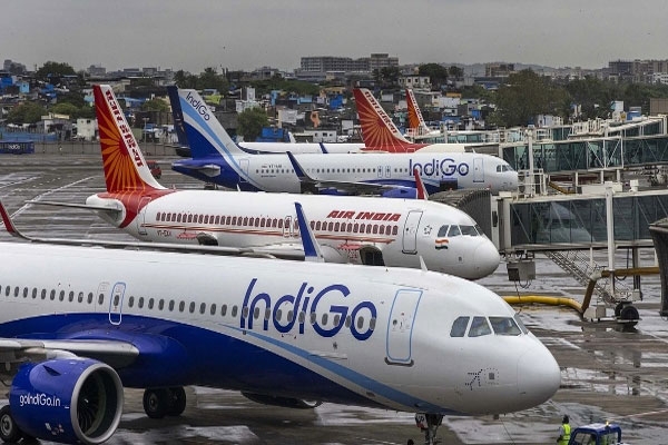 indigo