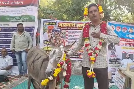हे काय भलतेच.....बायको घर सोडून गेली अन् पठ्ठ्याने चक्क गाढविणीशी केले लग्न