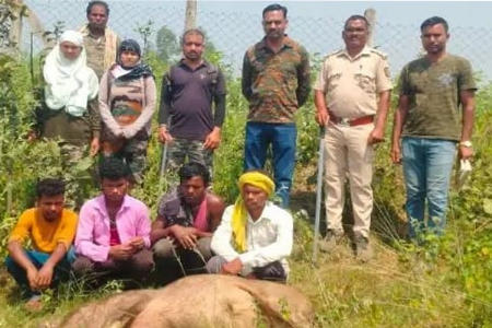 कळमना जंगलात रानडुकराची शिकार