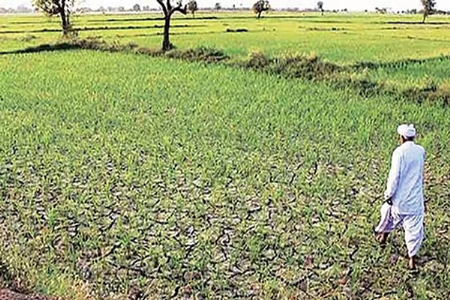 दुष्काळाची तीव्रता तपासण्यासाठी आणखी १८ तालुक्यांत ‘ग्राऊंड ट्रुथिंग’