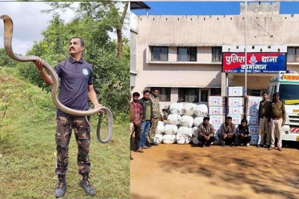 Akash Jadhav arrested