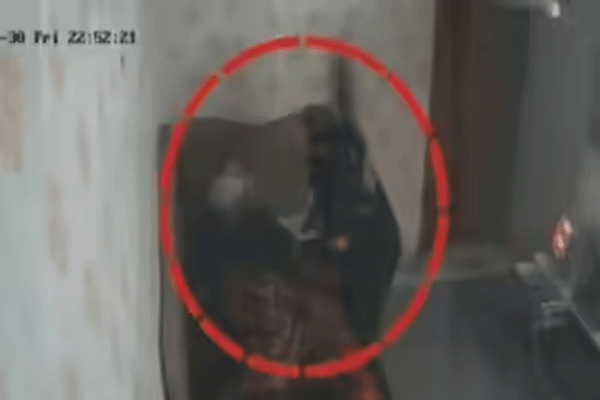 अमेरिकेतून बहिणीने पाहिले LIVE… आईला बेदम मारहाण करत होता भाऊ आणि...