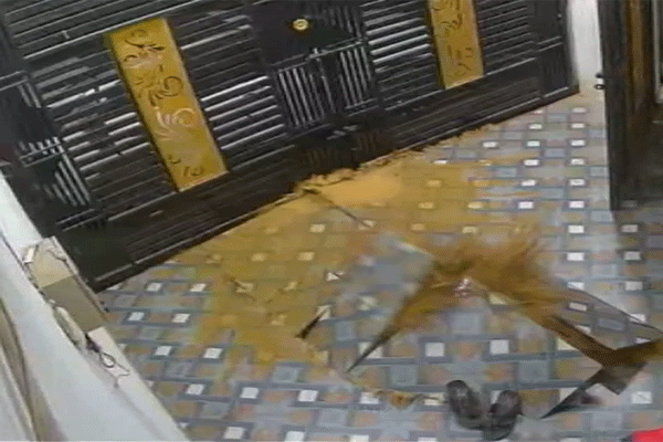 जमिनीखालून अचानक पाण्याचा स्फोट; क्षणातच थरकाप उडवणारा VIDEO व्हायरल