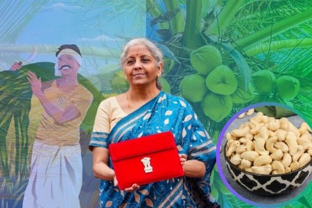 बजेटमध्ये शेतकऱ्यांसाठी आनंदवार्ता! 'महत्त्वाचे पाऊल'