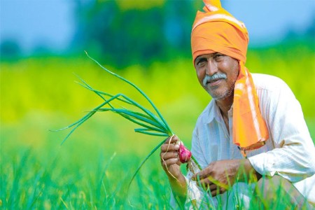 बळीराजासाठी आनंदवार्ता! कर्ज संकटात दिलासा