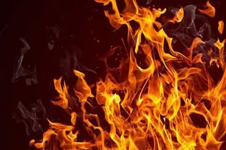 फिडर पिलरमध्ये हात घालल्याने व्यक्तीचा जळून मृत्यू