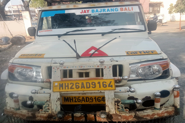 बोलेरो पिकअपसह 4 गोवंश जप्त