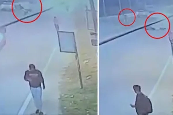 The cow blew up the engineer