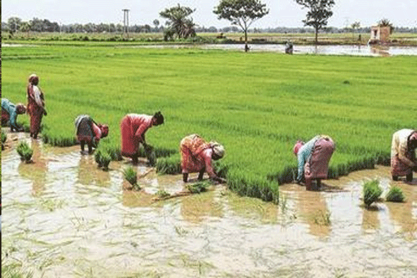 farmer-loan-in-wardha
