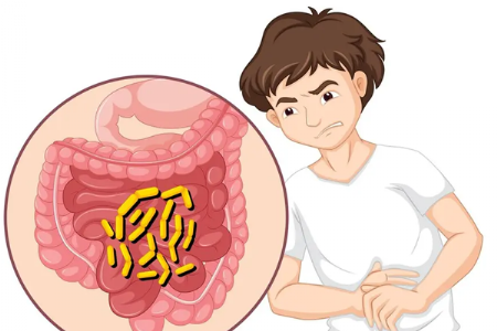 हे बॅक्टेरिया पोटात गॅस आणि आम्लतेचे प्रमुख कारण आहे,जाणून घ्या