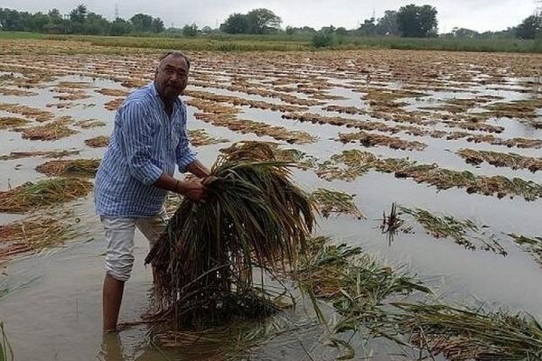 unseasonal rain alert 