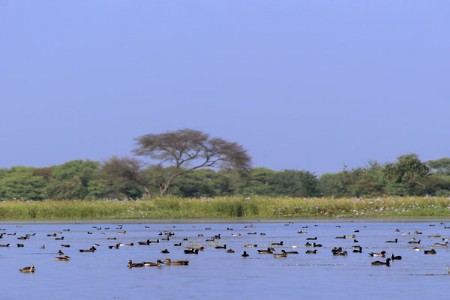 निसर्ग, मानव आणि शाश्वत भविष्य