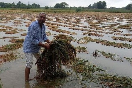 अवकाळी पावसाचा 'या' राज्यात येलो अलर्ट शेतकरी चिंतेत