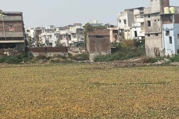  Chhota Gondia Mama Talav pollution