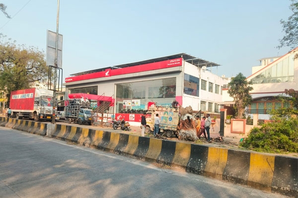 Wardha tree cutting controversy