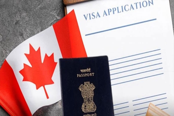 Study permit in Canada Study permit in Canada